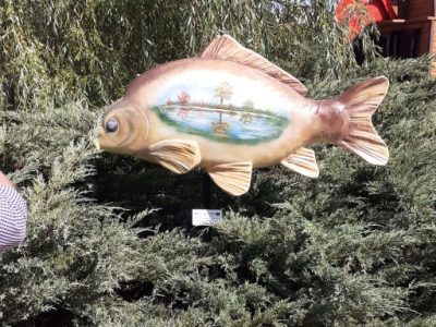 20220830_133421baf2_3202