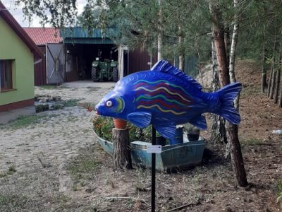 Figury karpia przy gospodarstwach rybackich