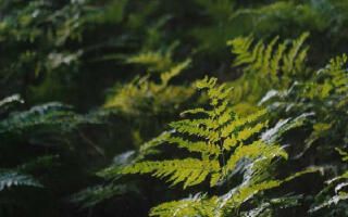 miedzy drawa a notecia foder na stronę mały plik