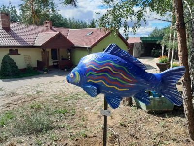 Figury karpia przy gospodarstwach rybackich