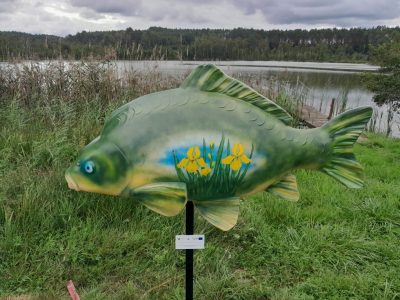 Figury karpia przy gospodarstwach rybackich