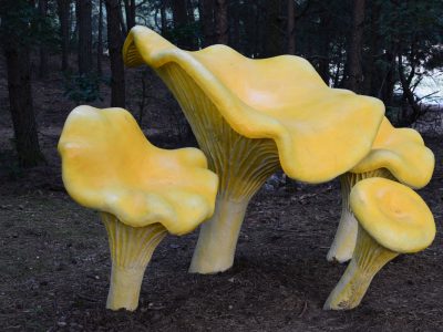 Gmina Drawsko Galeria