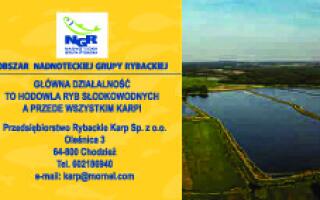 Gospodarstwa rybackie na obszarze NGR karp oleśnica0372
