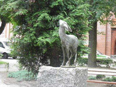 NGR-sarenka-w-Trzciance607f