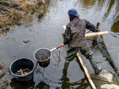 Zdjęcia Praca rybaka i gospodarstwa rybackie w obiektywie