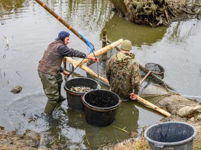 Zdjęcia Praca rybaka i gospodarstwa rybackie w obiektywie