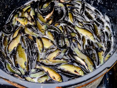 Zdjęcia Praca rybaka i gospodarstwa rybackie w obiektywie