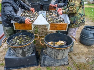 Zdjęcia Praca rybaka i gospodarstwa rybackie w obiektywie