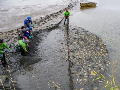 Zdjęcia Praca rybaka i gospodarstwa rybackie w obiektywie