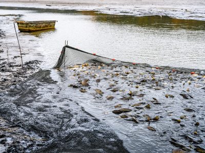 Zdjęcia Praca rybaka i gospodarstwa rybackie w obiektywie