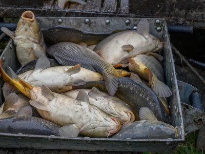 Zdjęcia Praca rybaka i gospodarstwa rybackie w obiektywie