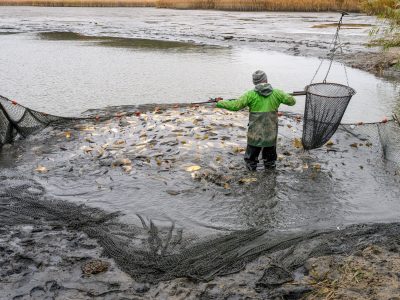 Zdjęcia Praca rybaka i gospodarstwa rybackie w obiektywie