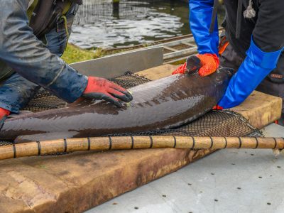 Zdjęcia Praca rybaka i gospodarstwa rybackie w obiektywie