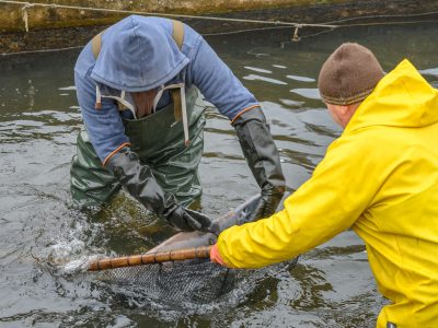Zdjęcia Praca rybaka i gospodarstwa rybackie w obiektywie