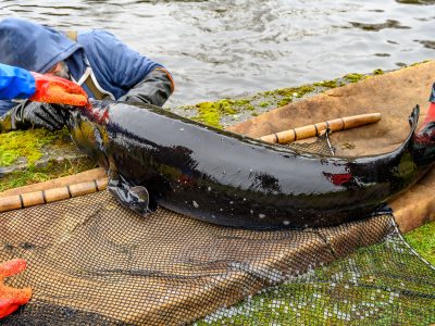 Zdjęcia Praca rybaka i gospodarstwa rybackie w obiektywie