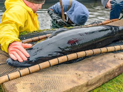 Zdjęcia Praca rybaka i gospodarstwa rybackie w obiektywie