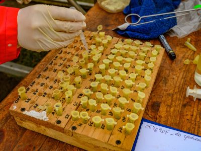 Zdjęcia Praca rybaka i gospodarstwa rybackie w obiektywie