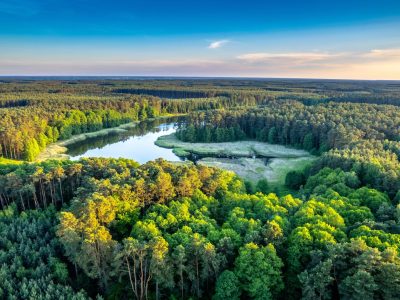 Zdjęcia obszaru NGR