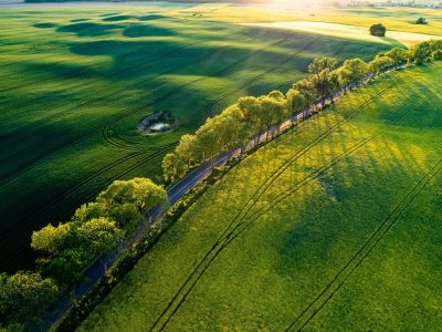 Zdjęcia obszaru NGR