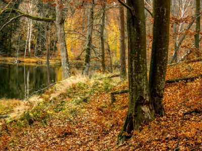 Zdjęcia obszaru NGR