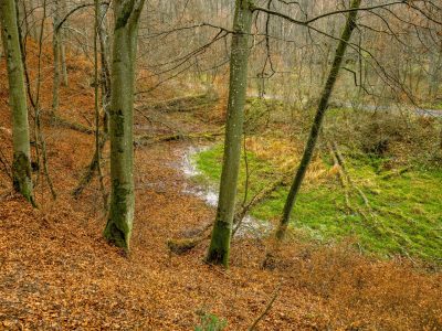 Zdjęcia obszaru NGR