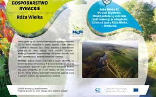 Oznakowanie lokalnych gospodarstwa rybackich_Róża Wielka-K.Pęcherzewski9fe5_3217