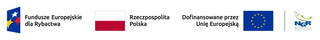 Logo FER_RP_UE_RGB_NGR