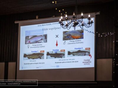 Konferencja weterynaryjna_2025_3